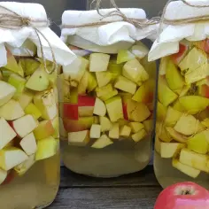 Wykorzystaj Matkę Octową: Zastosowania i Równowaga Zdrowia z Ocetem Jabłkowym