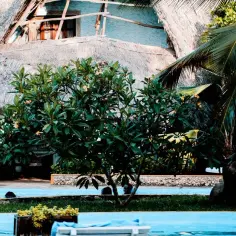 Jakie hotele na Djerbie polecić rodzinom z dziećmi? 5 top resortów