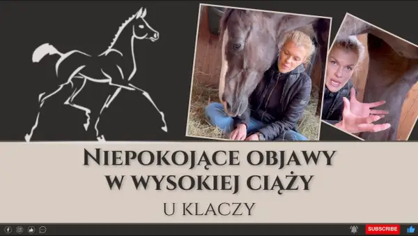 Jak rozpoznać ciążę u konia - objawy, które mogą cię zaskoczyć